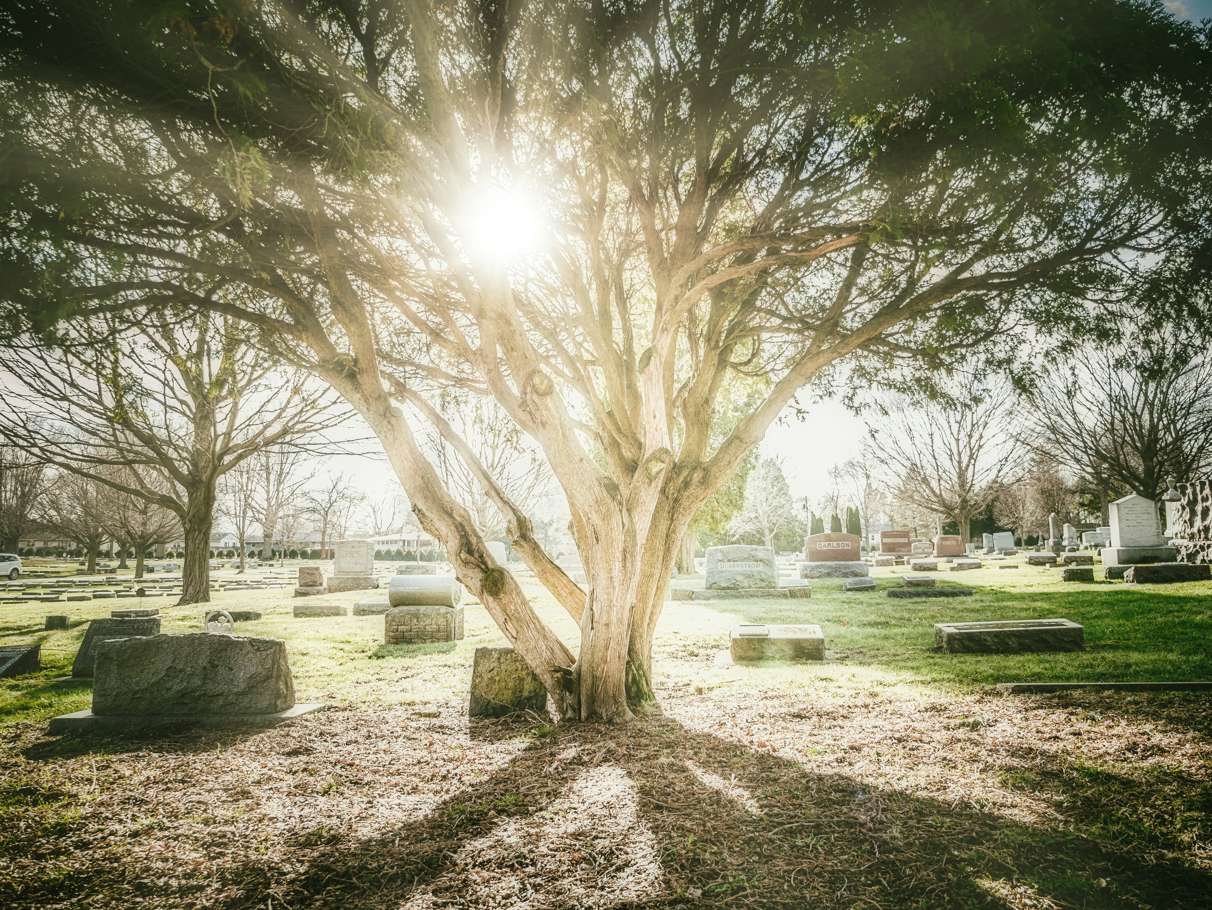 Essential Digital Tools and Resources for Modern Grave Care Services